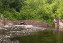 Загрязнение реки в Сумах