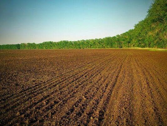 Жителям села на Сумщине не дают землю в паи