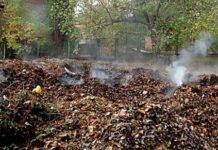 Какие угрозы несёт сожжение сухой растительности?