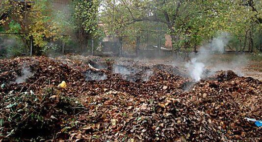 Какие угрозы несёт сожжение сухой растительности?