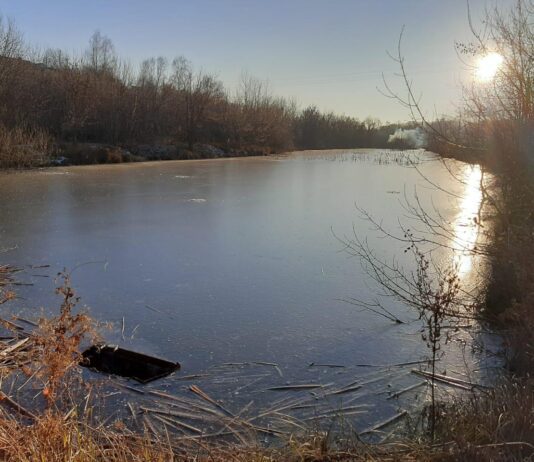 Косовщинское водохранилище: что произошло с «Сумским морем» из-за человеческой халатности