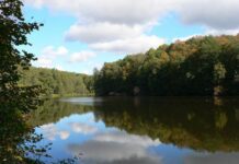 Шелеховское озеро: легенды старейшего водоема Украины