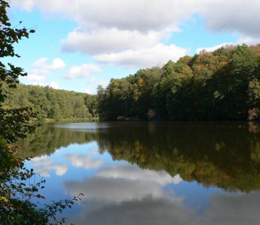 Шелехівське озеро: легенди найстарішої водойми України