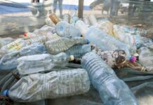 Сміттєвий колапс: біля Сум викрили стихійні «кладовища» відходів