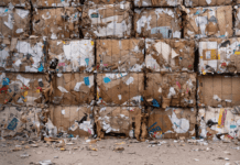 Сортування сміття у Сумах: як місту не дають потонути у відходах