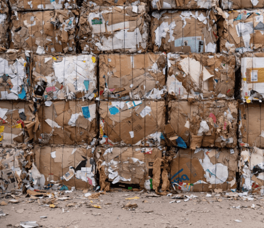 Сортування сміття у Сумах: як місту не дають потонути у відходах