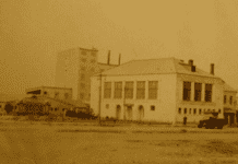 Гігант, що приголомшив довкілля