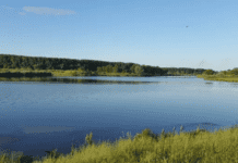 Море всегда море, даже если Сумское