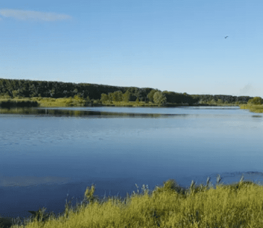 Море всегда море, даже если Сумское