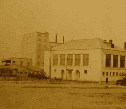 Гигант ошеломивший среду обитания