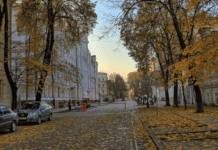 В багрец и золото одетые леса…