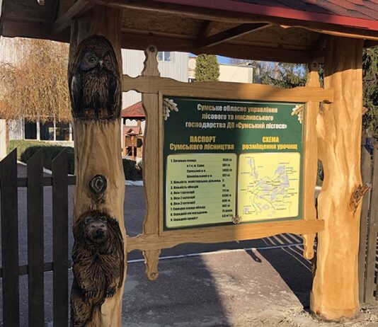 Лісове господарство Сумщини: від заселення Слобожанщини до наших часів