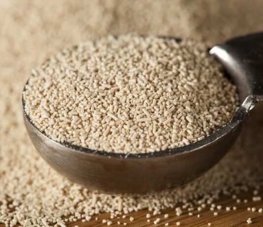 Найкращі та якісні дріжджі для виноробства