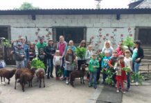 Контактный зоопарк в Сумах: безграничная радость для местных малышей