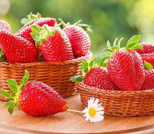 Боромлянська полуниця: славетна історія монастирської ягоди