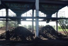 Видобуток торфу на Сумщині: чи використовує регіон свій торф’яний потенціал