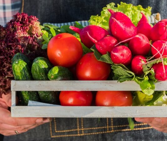 Вирощування овочів: як вибрати сорт та коли варто сіяти