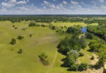 “Гетьманський природний парк”: унікальний комплекс Лівобережного лісостепу на Сумщині