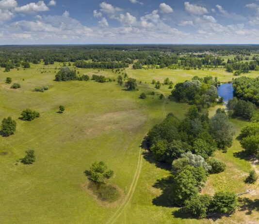 «Гетманский природный парк»: уникальный комплекс Левобережной лесостепи на Сумщине