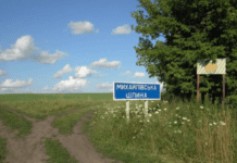 Михайлівська цілина – унікальний природний заповідник на Сумщині