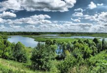 Ландшафтний парк “Сеймський”: сто гектарів природної незайманості на Сумщині