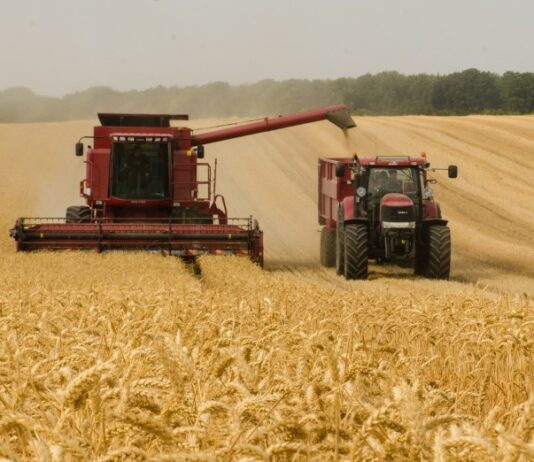 Де придбати сільськогосподарські запчастини та інструменти в Сумах?