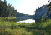 Тростянецький парк загальнодержавного значення: садово-паркова пам’ятка