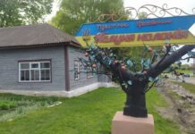 Кролевецька “яблуня-колонія” одна з найвідоміших ботанічних пам’яток природи на Сумщині