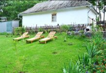 Сумщина туристична: зелений, сільський і екологічний туризм та їх перспективи