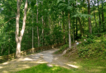 Улюблені природні локації для фотосесій на Сумщині