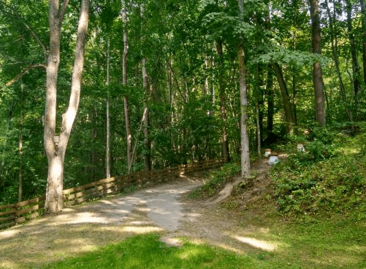 Улюблені природні локації для фотосесій на Сумщині