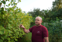 Enko Winery: крафтова родинна виноробня на Сумщині