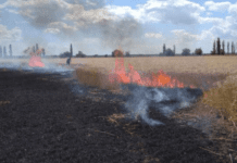 Борьба с изменением климата в Сумах