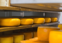 Сімейна сироварня “O’bereg”