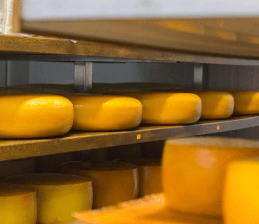 Сімейна сироварня “O’bereg”