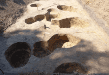 Розкопки давнього поселення в Конотопському районі