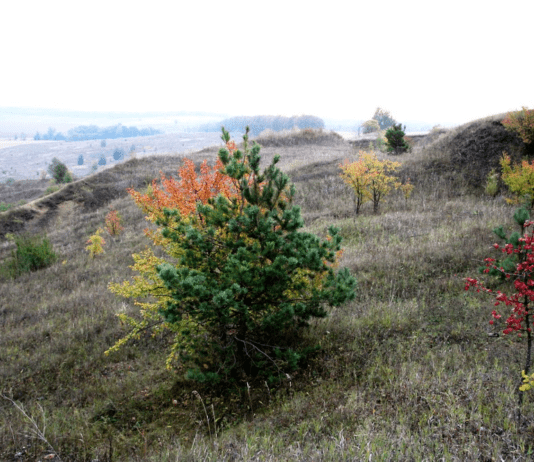 Цінність гори Золотухи, що на Сумщині