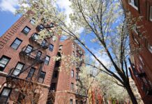 Оренда житла: де знайти квартиру у Нью-Йорку?