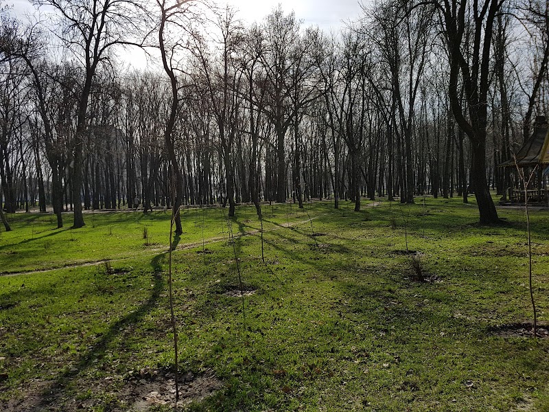 Іллінський парк