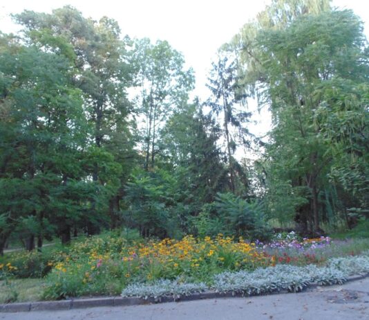 Парк Асмолова