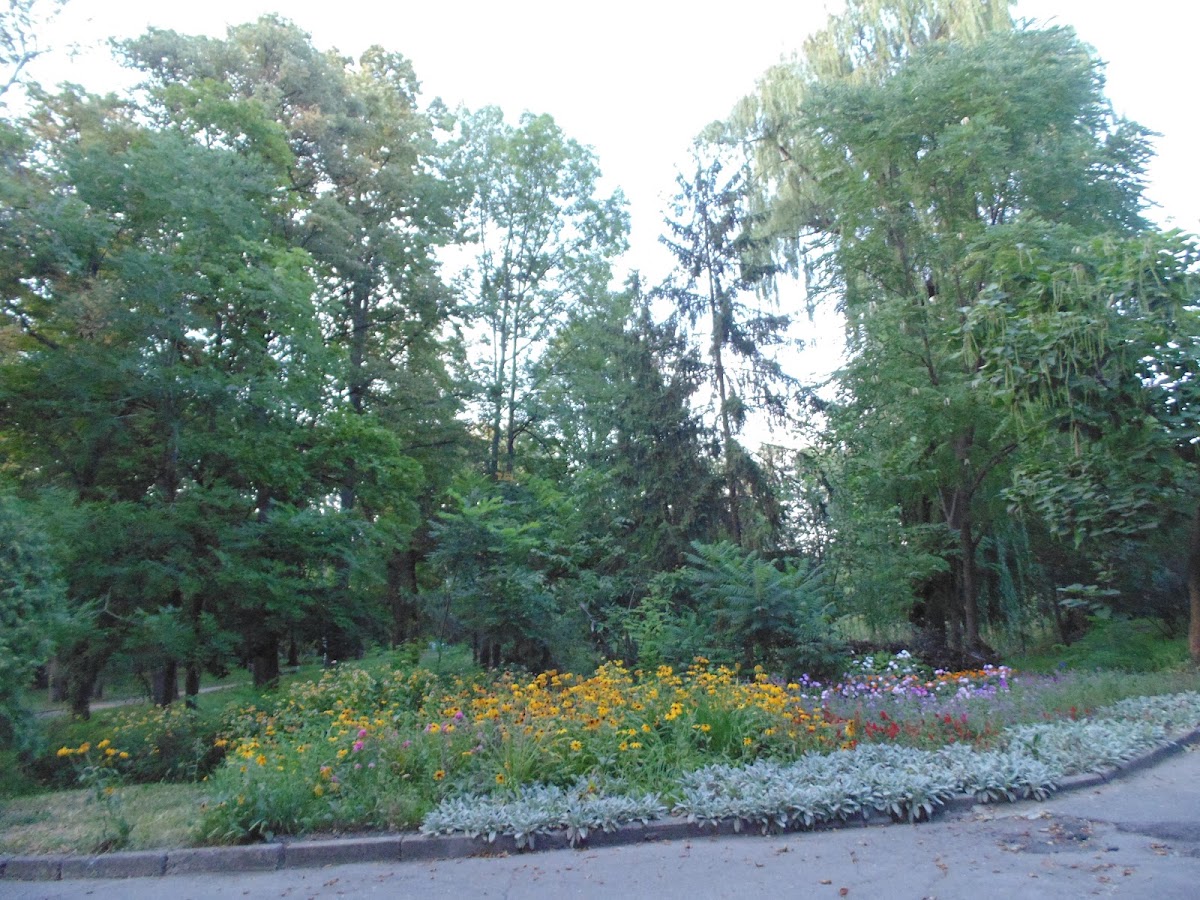 Парк Асмолова — Park